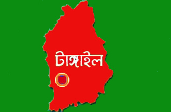 টাঙ্গাইল ৪ আসনের উপ-নির্বাচনের প্রতীক বরাদ্দ