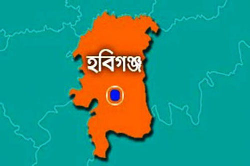 হবিগঞ্জে কবরস্থান থেকে বিপুল পরিমাণ বোমা উদ্ধার