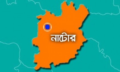 নাটোরে প্রকৃচি-বিসিএস সমন্বয় কমিটির মানববন্ধন