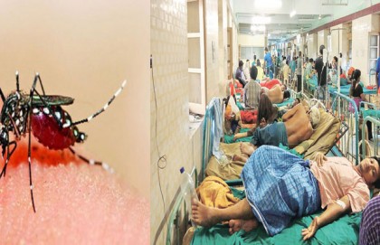 পশ্চিমবঙ্গে ভয়াবহ আকার নিচ্ছে ডেঙ্গু