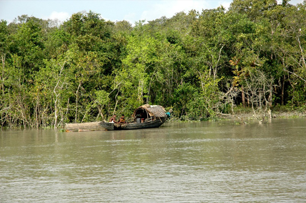 'সুন্দরবনে সব ধরনের সম্পদ আহরণ নিষিদ্ধ'