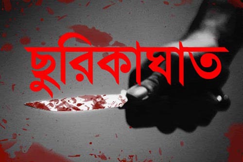 চুয়াডাঙ্গায় দুর্বৃত্তদের হামলায় যুবলীগের ২ কর্মী আহত
