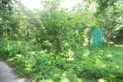 কমলগঞ্জের আরোগ্যকুঞ্জটি এখন নিজেই রোগাক্রান্ত