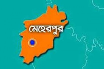 মেহেরপুরে ছিনতাইকারীর হামলায় কৃষকের মৃত্যু