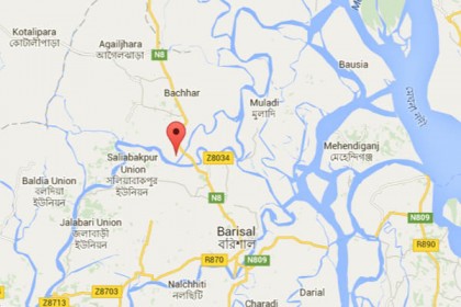 বনবিভাগের গাছ কাটায় ইউপি চেয়ারম্যানের বিরুদ্ধে মামলা