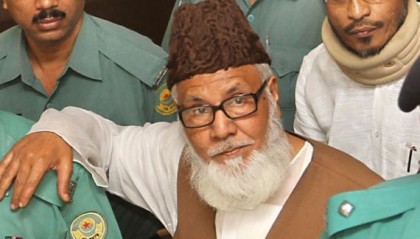 নিজামীর আপিল শুনানি