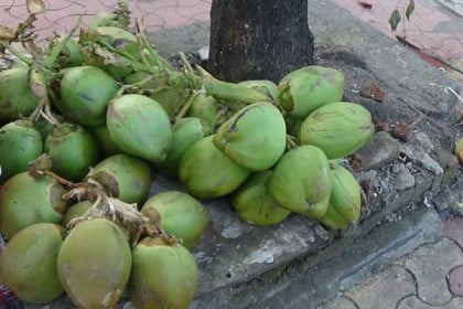 বাসে ডাব কিনে খেয়ে মৃত্যু