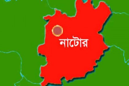 দুটি বিদেশি পিস্তলসহ আটক ২