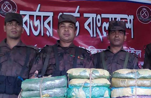 আখাউড়ায় ১৭ কেজি গাঁজা জব্দ 