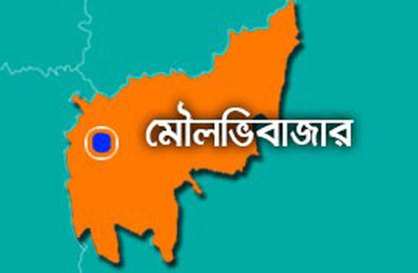 পৌর নির্বাচনে আওয়ামী লীগ, বিএনপি ও জাপার মেয়র পদে মনোনয়ন পেলেন যারা