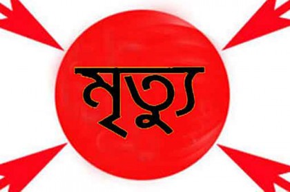 কুমিল্লায় লাঠির আঘাতে গৃহবধূর মৃত্যু