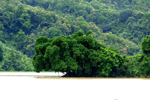 রাঙ্গামাটির রঙে চোখ জুড়ালো...