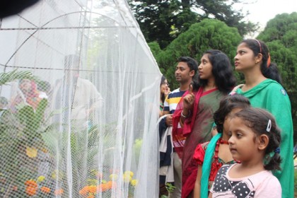 জাবিতে নানা আয়োজনে প্রজাপতি মেলা
