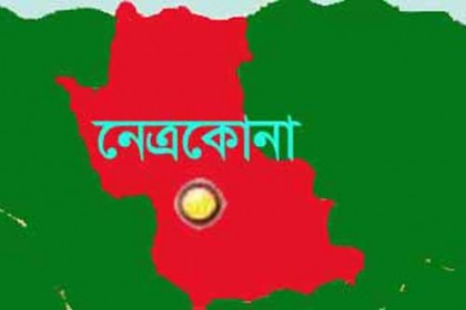 নসিমনের ধাক্কায় যুবক নিহত
