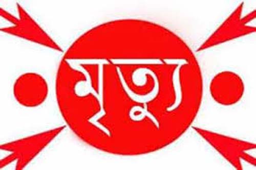 বগুড়ায় সানশেড চাপায় ২ বোনের মৃত্যু
