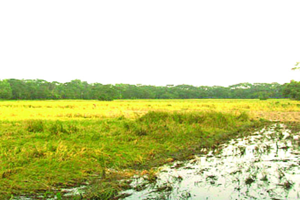 কমলা রানীর দীঘি
