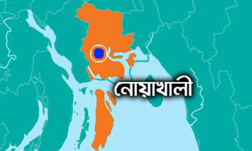 বঙ্গবন্ধুর প্রত্যাবর্তন দিবস উপলক্ষে আওয়ামী লীগের সভা