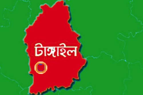 ঘাটাইলে ইউপি চেয়ারম্যান গ্রেফতার
