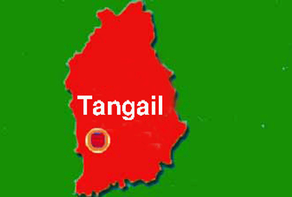 টাঙ্গাইলে স্বদেশ প্রত্যাবর্তন দিবস পালিত