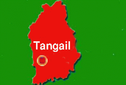 টাঙ্গাইলে স্বদেশ প্রত্যাবর্তন দিবস পালিত