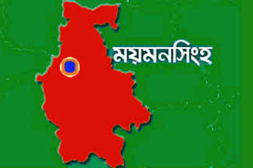 ময়মনসিংহে পত্রিকা অফিসে অভিযান, অস্ত্রসহ আটক ২

