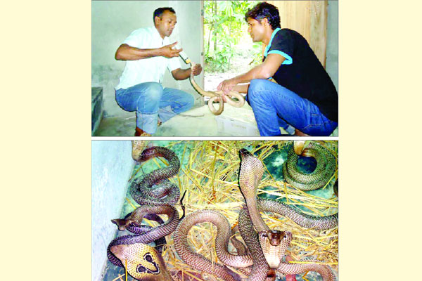 গোখরার গ্রাম নন্দীপাড়া