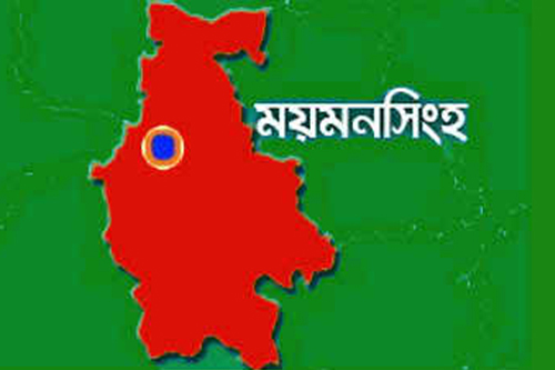 
ভালুকায় স্ত্রীর হাতে স্বামী খুন
