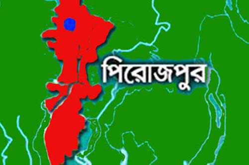 কাউখালীতে বিদ্যুৎস্পৃষ্টে যুবকের  মৃত্যু
