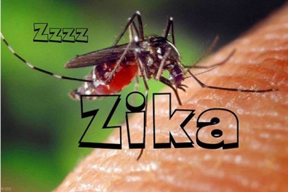 ভেনেজুয়েলায় জিকা ভাইরাসে ৩ জনের মৃত্যু