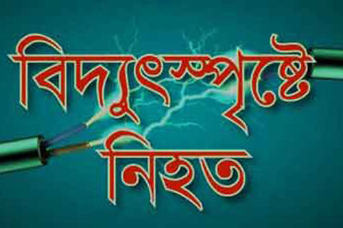 বিদ্যুৎস্পৃষ্টে বিশ্ববিদ্যালয় ছাত্র নিহত
