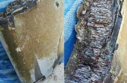 মোজাম্বিকে মিলল MH370-র খোঁজ!
