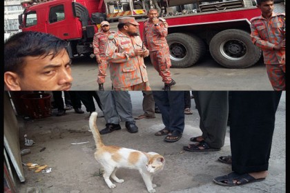 কৃষিমন্ত্রীর বাড়িতে সেই বিড়ালটি