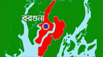 বরগুনায় ১০ হরিণের চামড়া আটক 