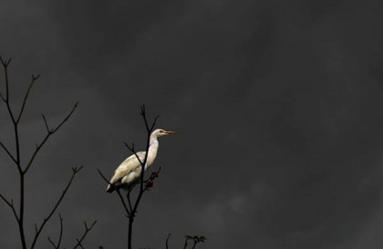 কাল বৈশাখী ঝঁড়ে রূপগঞ্জে ব্যাপক ক্ষয়ক্ষতি