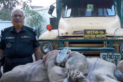 যশোরে ১৫০টি কচ্ছপ উদ্ধার