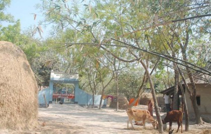 পার্বতীপুরে প্রাথমিক বিদ্যালয়ের খেলার মাঠ দখল
