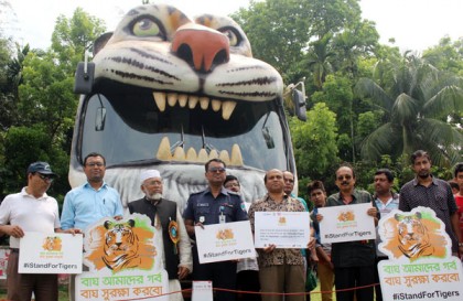 বাঘ মামা এখন বাগেরহাটে 

