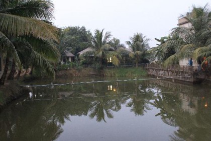সুন্দরবনে বিজিবি-বিএসএফ'র যৌথ মহড়া শুরু
