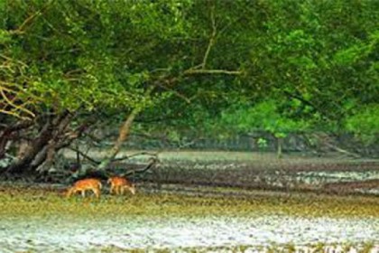 শ্যালা নদীতে ডুবে যাওয়া কয়লাবাহী জাহাজ শনাক্ত