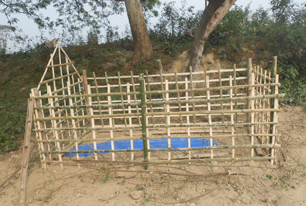 পুলিশি পাহারায় তনুর কবর