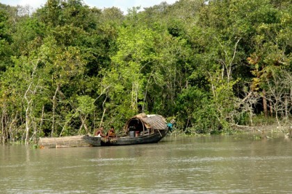 সুন্দরবনের গহীন অরণ্যে আগুন
