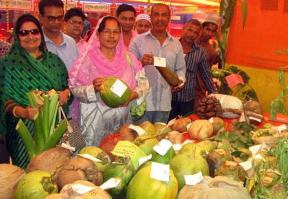 মোরেলগঞ্জে ৪ দিনব্যাপী কৃষি প্রযুক্তি মেলার উদ্বোধন