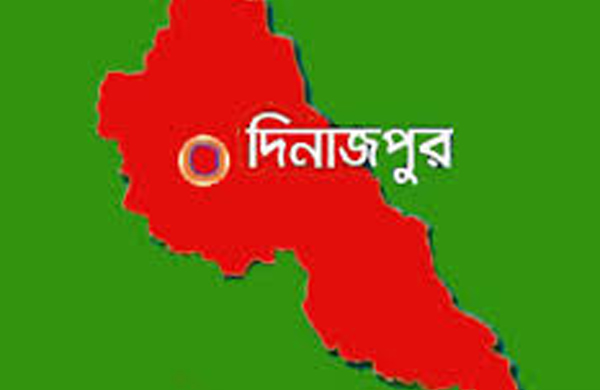 ফুলবাড়ীতে চৈত্রের ঝড়ে আম ও লিচুর ব্যাপক ক্ষতি