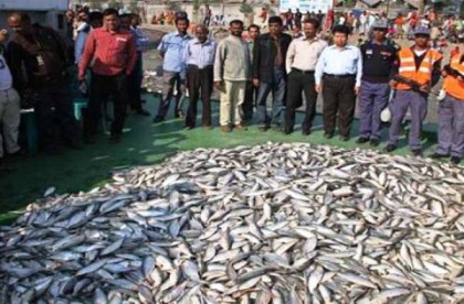 বরিশালে ৪০ মণ জাটকা জব্দ