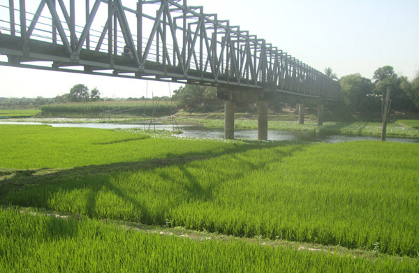 চাঁপাইনবাবগঞ্জে নদীর বুকে ফসলের ক্ষেত