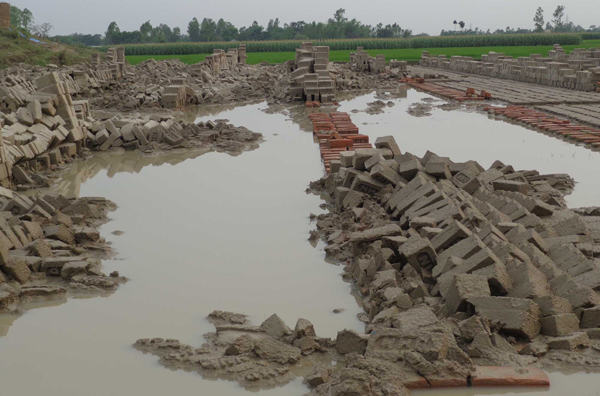 বীরগঞ্জে হঠাৎ বৃষ্টিতে কাঁচা ইটের ব্যাপক ক্ষতি