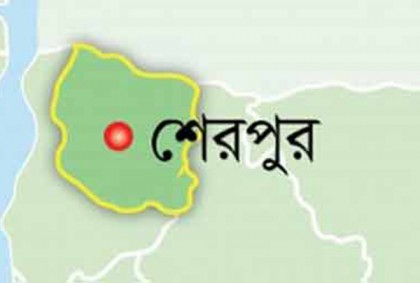 বোমা বানাতে গিয়ে বিস্ফোরণে নিহত ২