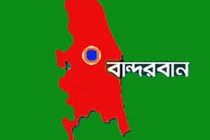 লামায় হাতির আক্রমণে ১ জনের মৃত্যু