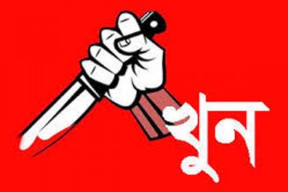 সাতক্ষীরায় ভাইপোর হাতে চাচা খুন