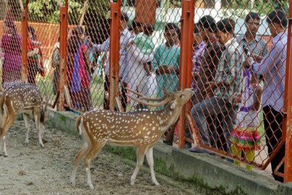 চিড়িয়াখানায় দর্শনার্থীদের ঢল